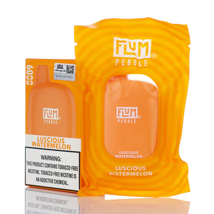 FLUM PEBBLE 6000 PUFFS RECHARGEABLE DISPOSABLE