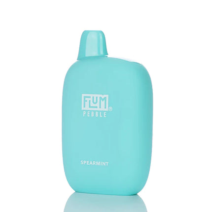 FLUM PEBBLE 6000 PUFFS RECHARGEABLE DISPOSABLE