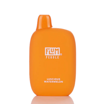 FLUM PEBBLE 6000 PUFFS RECHARGEABLE DISPOSABLE