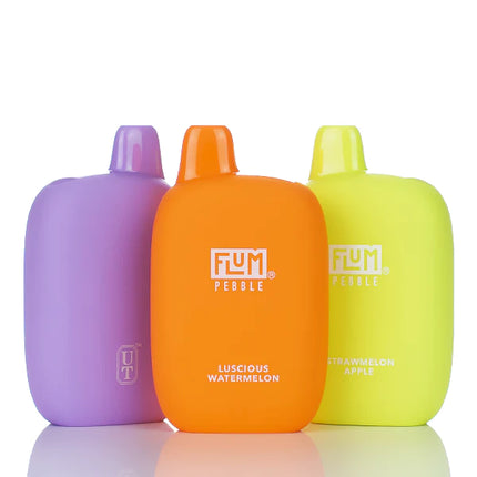 FLUM PEBBLE 6000 PUFFS RECHARGEABLE DISPOSABLE